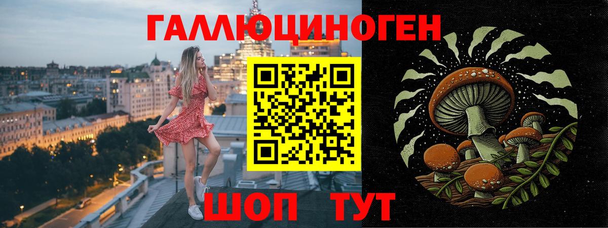 Галлюциногенные грибы Psilocybe Наро-Фоминск
